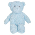 Billy Bear Toy - Blue
