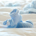 Puppy Boot Socks - Blue