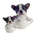 Pup in a Cup Set - Billy Boston Terrier