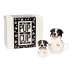 Pup in a Cup Set - Bobby Border Collie