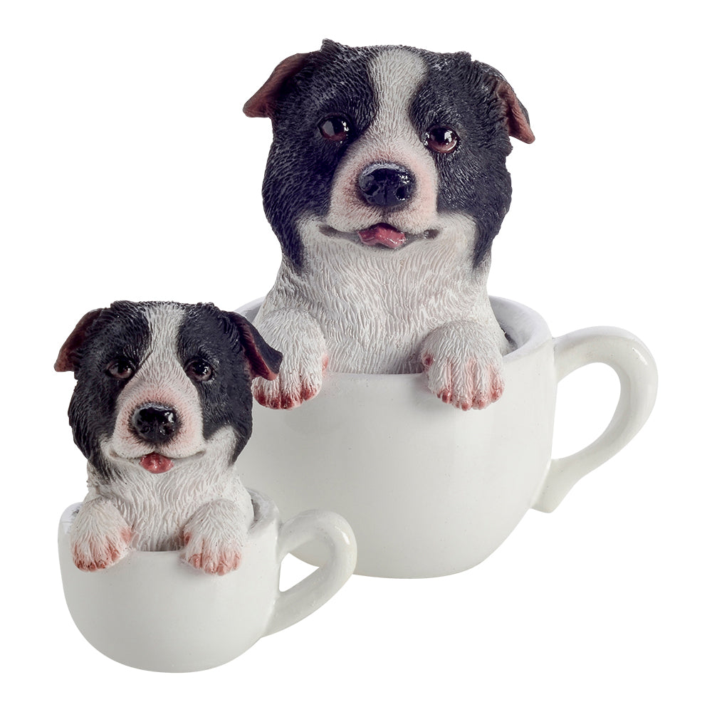 Pup in a Cup Set - Bobby Border Collie