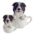 Pup in a Cup Set - Bobby Border Collie