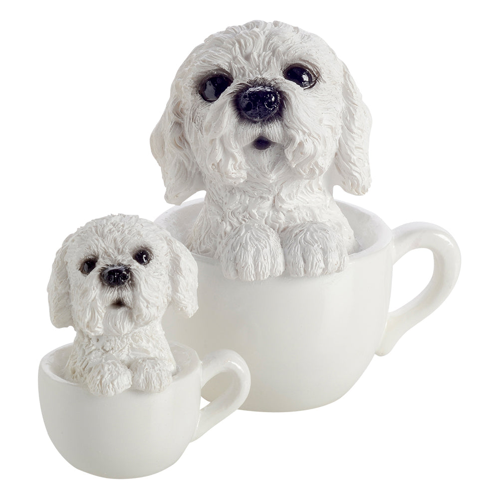 Pup in a Cup Set - Micky Maltese X