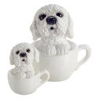 Pup in a Cup Set - Micky Maltese X